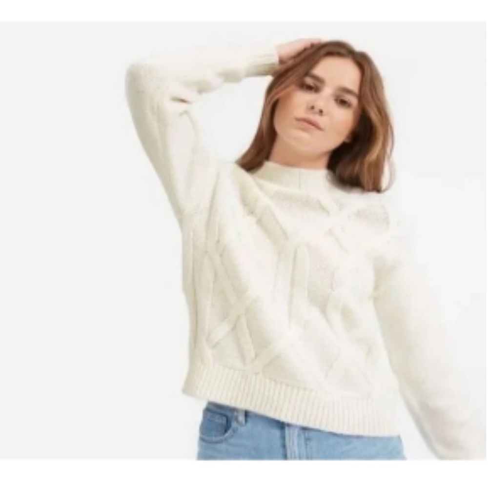 Everlane cable mockneck sweater